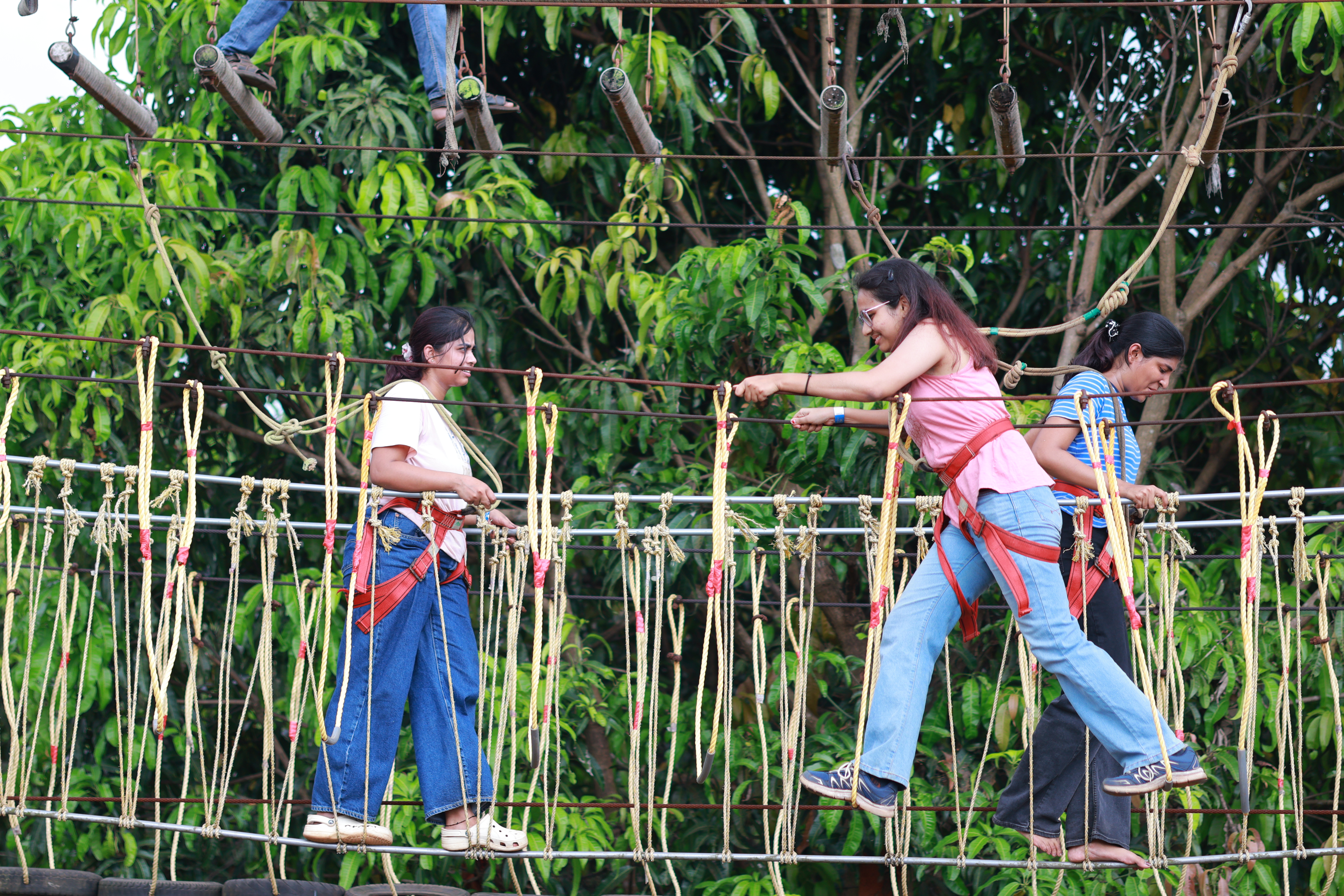 Log Swings Adventure
